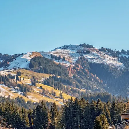 Staffner Chalet Kirchberg in Tirol